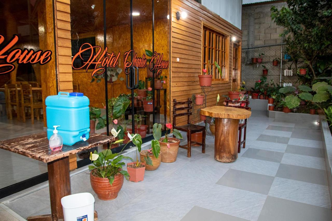 Hotel Charlie House 옥사팜파 외부 사진
